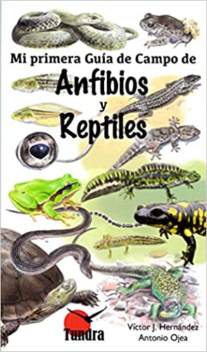 Mi primer guía de campo de anfibios y reptiles ed Tundra