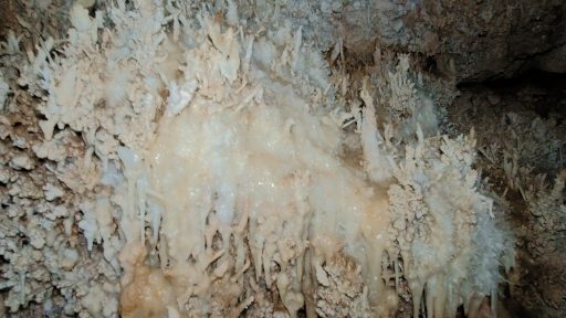 Excéntricas en el final de la cueva de Fuentemolinos