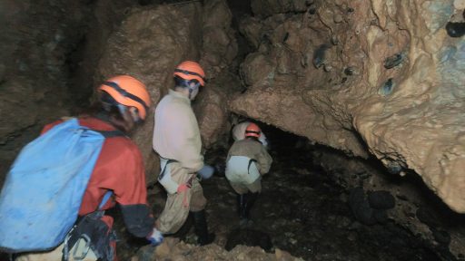 Cueva de conglomerado calizo (Cueva de Fuentemolinos)