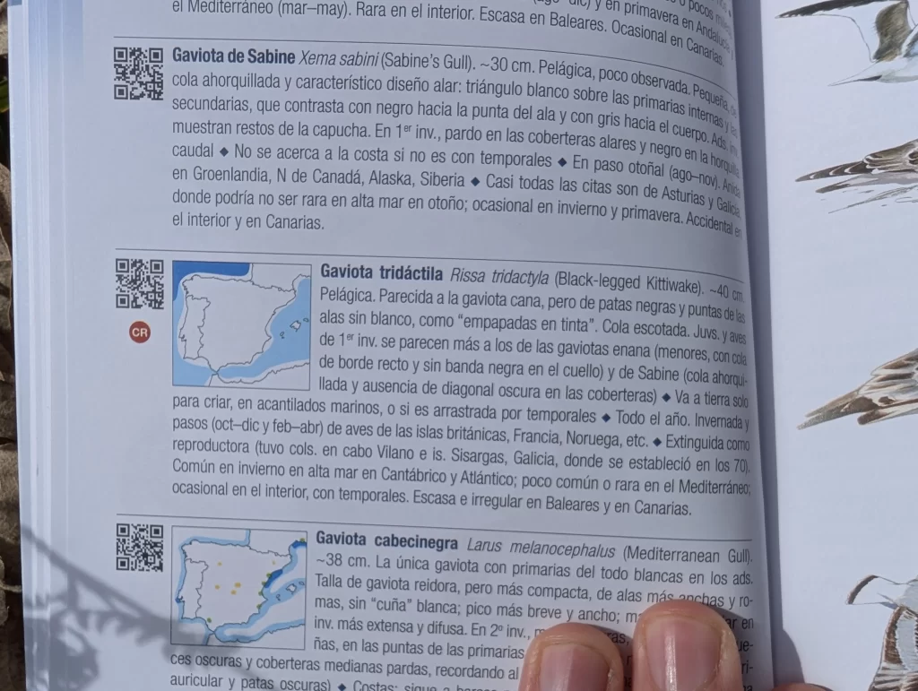 detalle guía aves de España